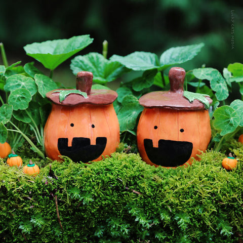 October | The Great Pumpkin |  1.5 Hr Instructor Guided Workshop